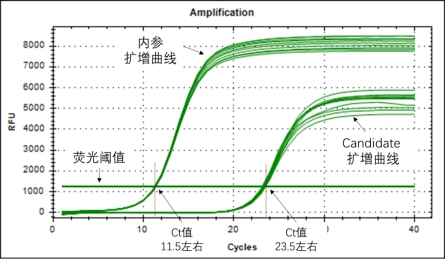 新冠病毒核酸检测ct值是什么为何如此重要血清igmigg又有何指示