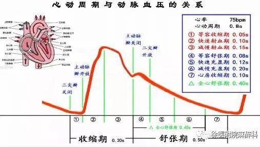 关于额外的血流动力学特征的信息,比如脉率,心输出量,每搏量变异度