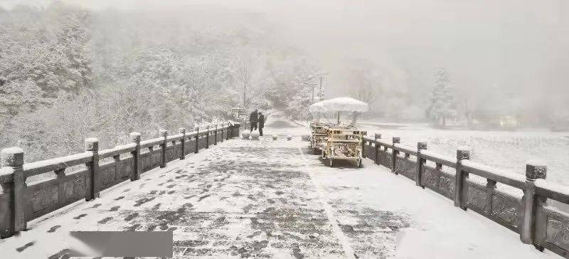 摄雪域仙华↓秒变银白世界金华北山,浦江仙华山各地雪景如梦似幻