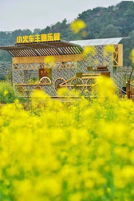 栈道等不同区域是黄埔区"城市农业公园"示范项目长岭现代农业公