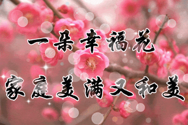 今日立春祝福送上