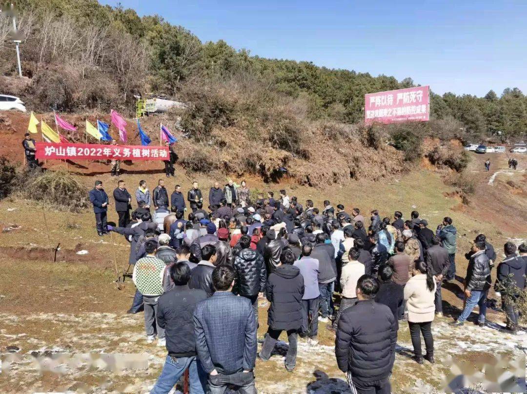 新年添新绿威宁各乡镇开展义务植树活动