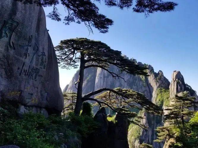 今天安徽天柱山,黄山风景区分别发布消息