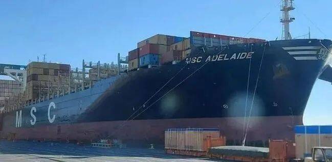 当地时间2月6日,集装箱船"msc adelaide"号从巴西抵达意大利热那亚