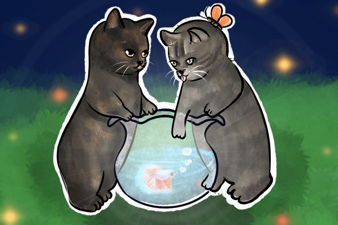 快来报名中日流浪动物保护线上交流活动暨驻大阪总领