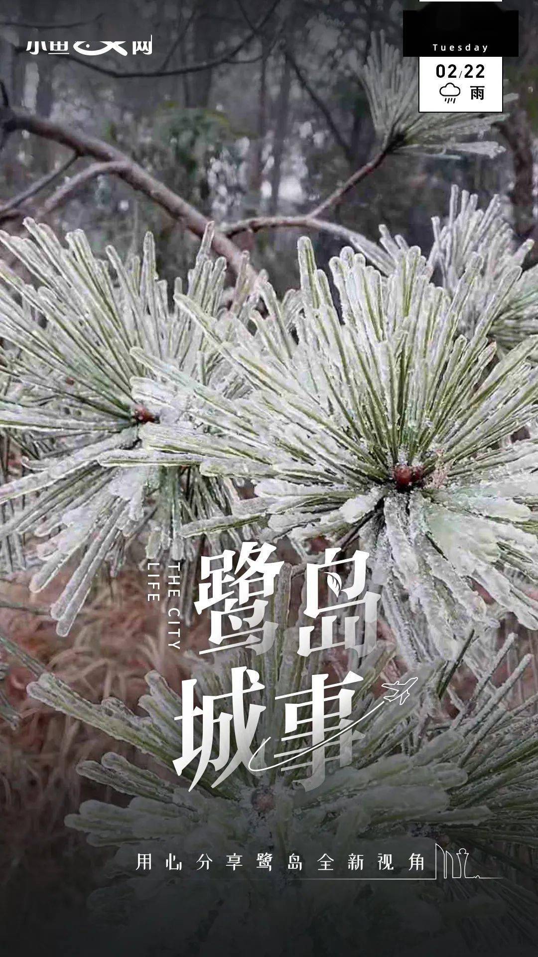 回温时间就在._军营村_寿宁_天气