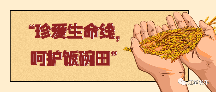 在大路铺镇伍舜农机合作社里,各类农机整齐摆放,维修人员正在娴熟地对