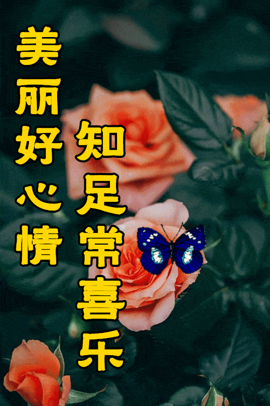 3月2日最漂亮早上好动态表情图片及动图美图大全 天呐!你舍得睡她吗?