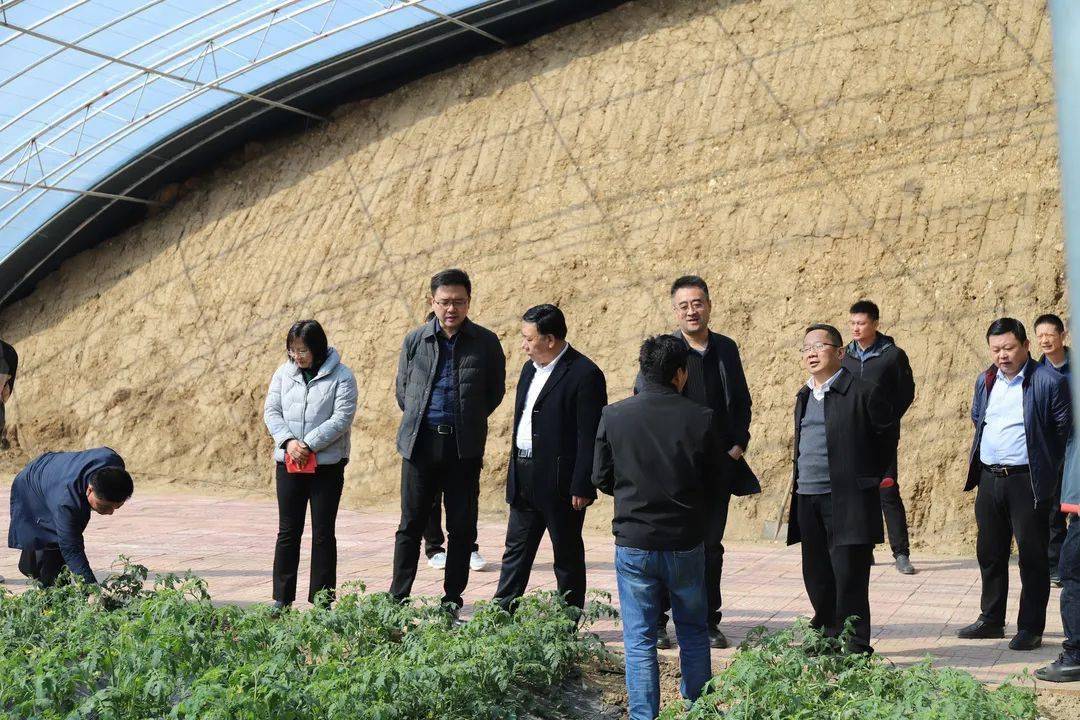 3月2日,由台儿庄区副区长李冬光同志带队,台儿庄区农业农村局局长