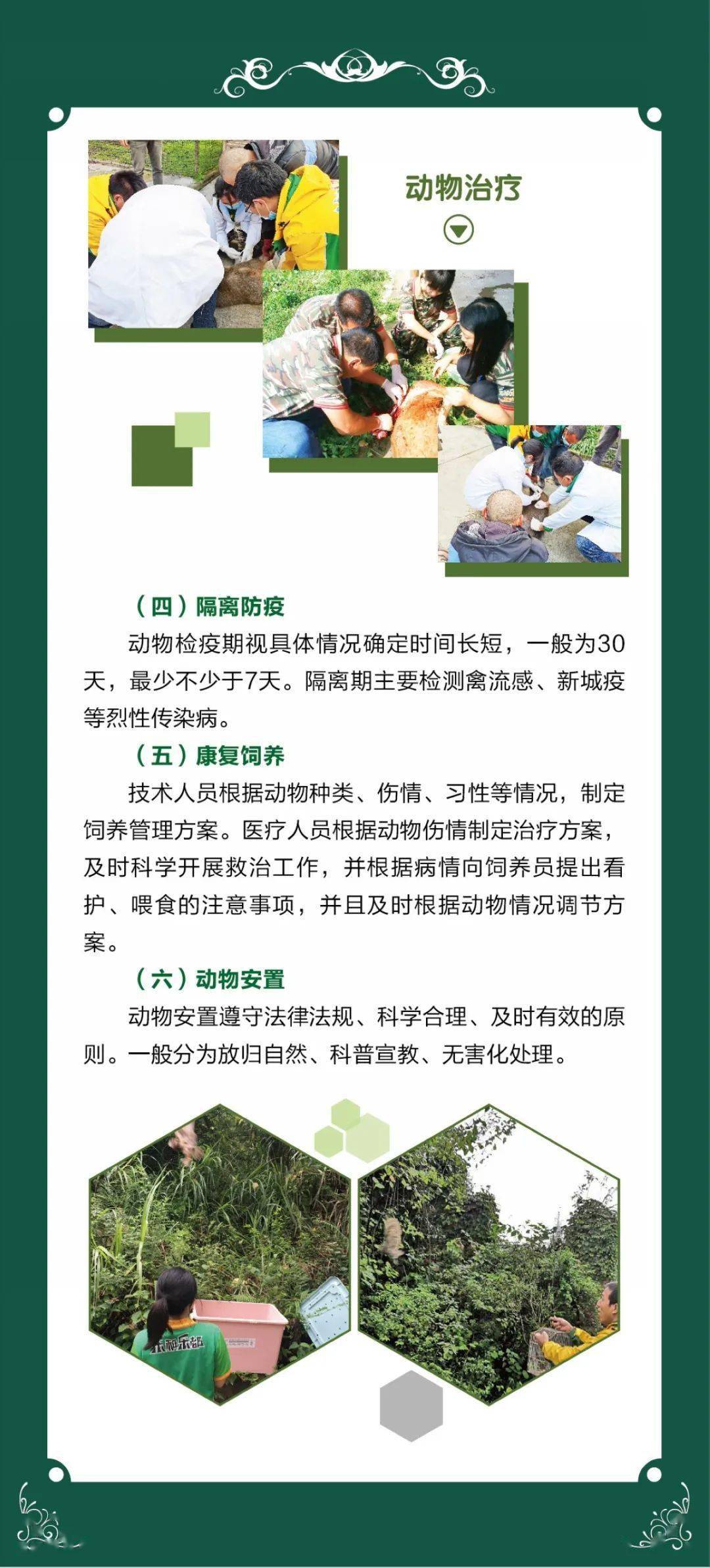 左右滑动查看更多让我们一起更好的了解怎么关爱动物野生动物收容救护