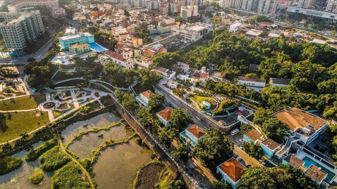 与绿色同行 │ 感受路氹城生态保护区之美_澳门_湿地_大自然