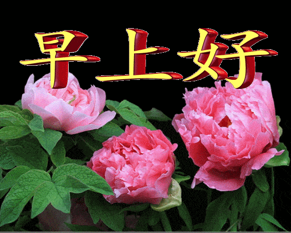 早上好动态表情包早晨舒心愉快心情漂亮如花