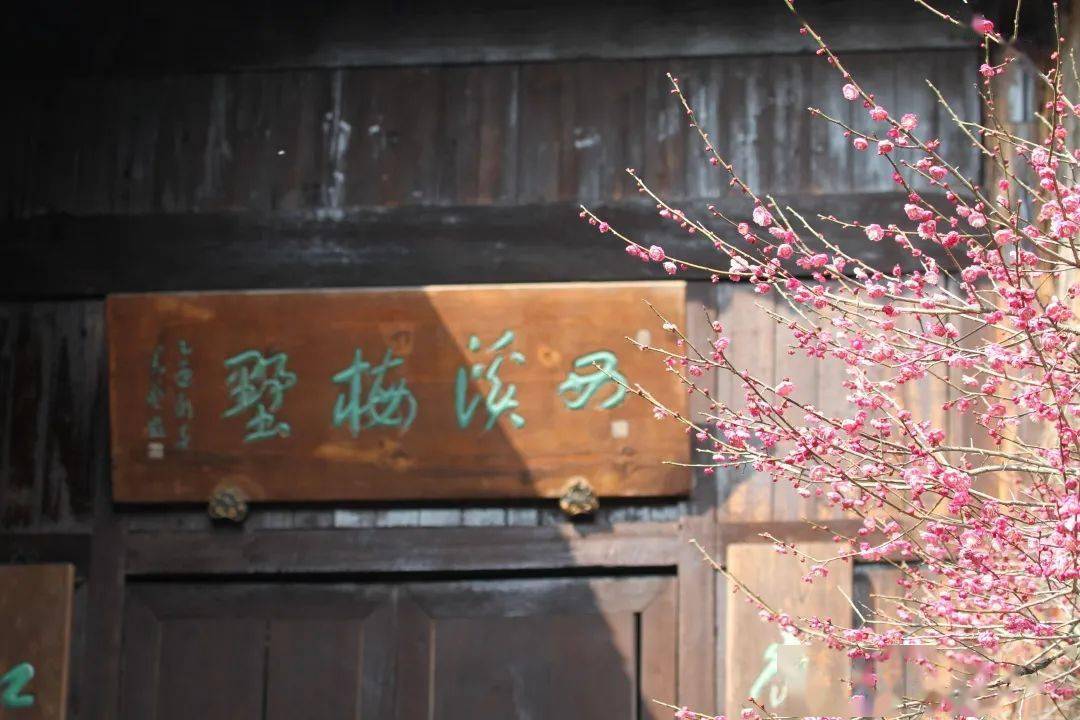 西溪梅墅和梅竹山庄都在梅竹休闲区内,是西溪湿地梅花较为集中的区域.