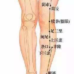 轻刮脾经(小腿胫骨内侧,重刮胃经(小腿胫骨外侧,一周1-2次,谓身体