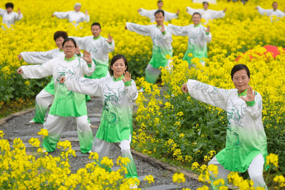 这些活动等您解锁_花海_龙潭乡_示意图