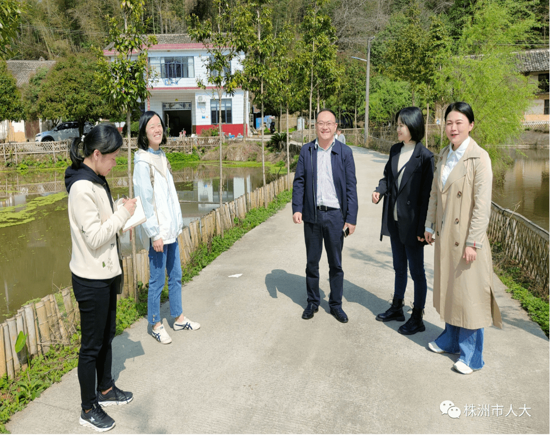 看得到绿水,留得住乡愁"近日,在醴株洲市人大代表米佳,赖艳霞