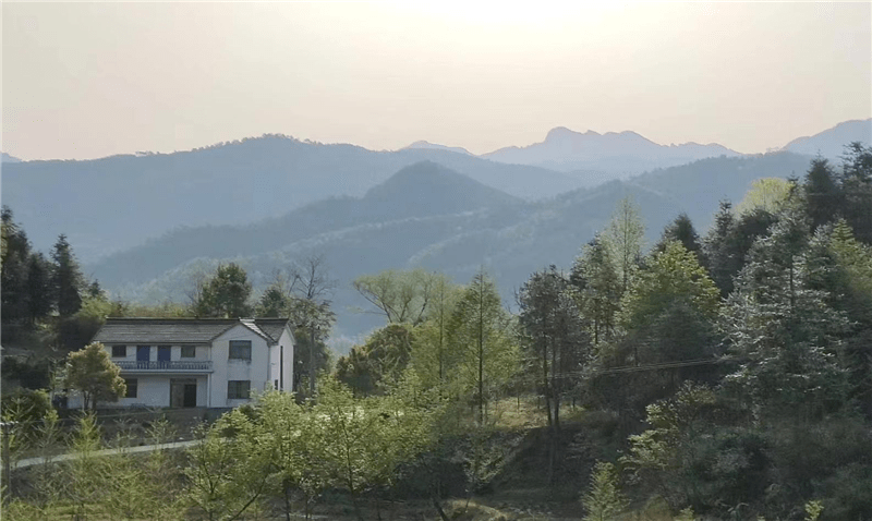 美翻了我的村池州市二圣村九华山下生态如画