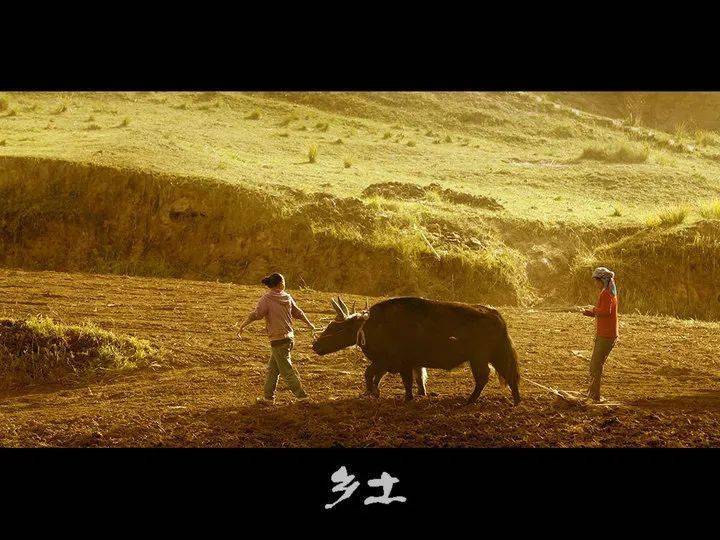 江厚平:想起小时候的一头牛(外一篇)_老牛_母亲_主人