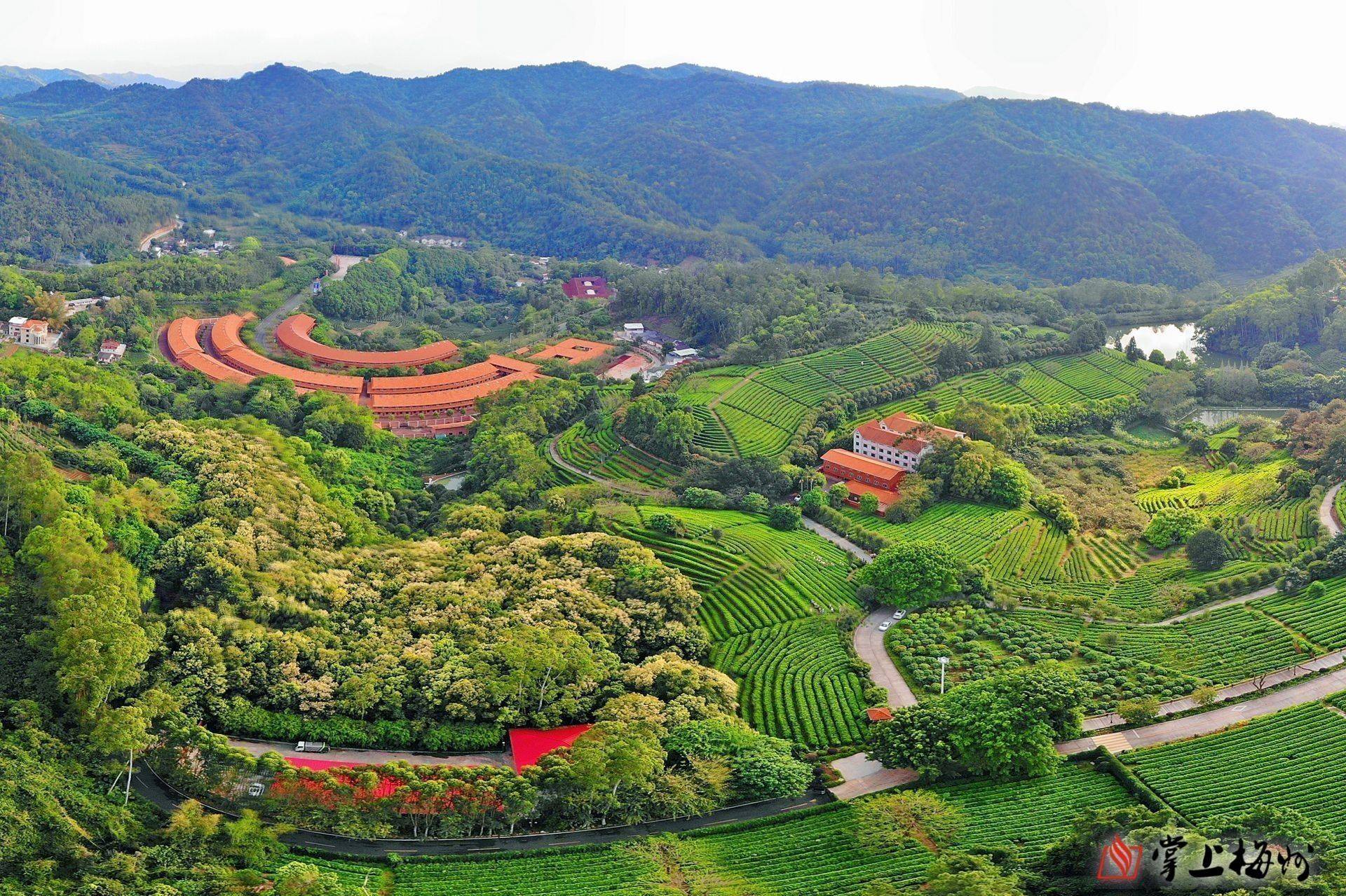 餐,南寿峰虫草鸡,红豆杉养生汤等客都人家文化旅游区国家3a级旅游景区