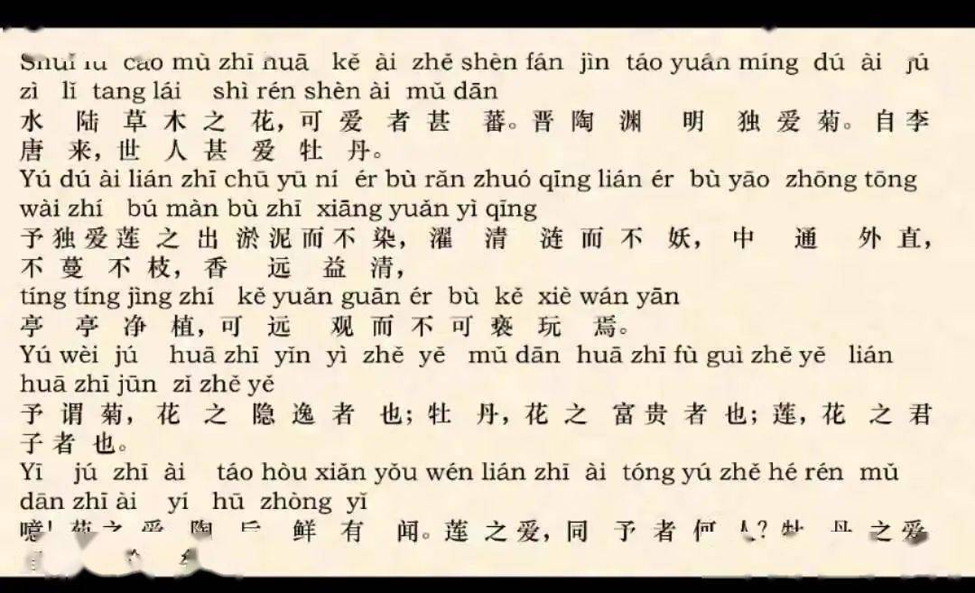 第三名进行展示的是延嘉宁同学:他为我们讲解了周敦颐的《爱莲说》