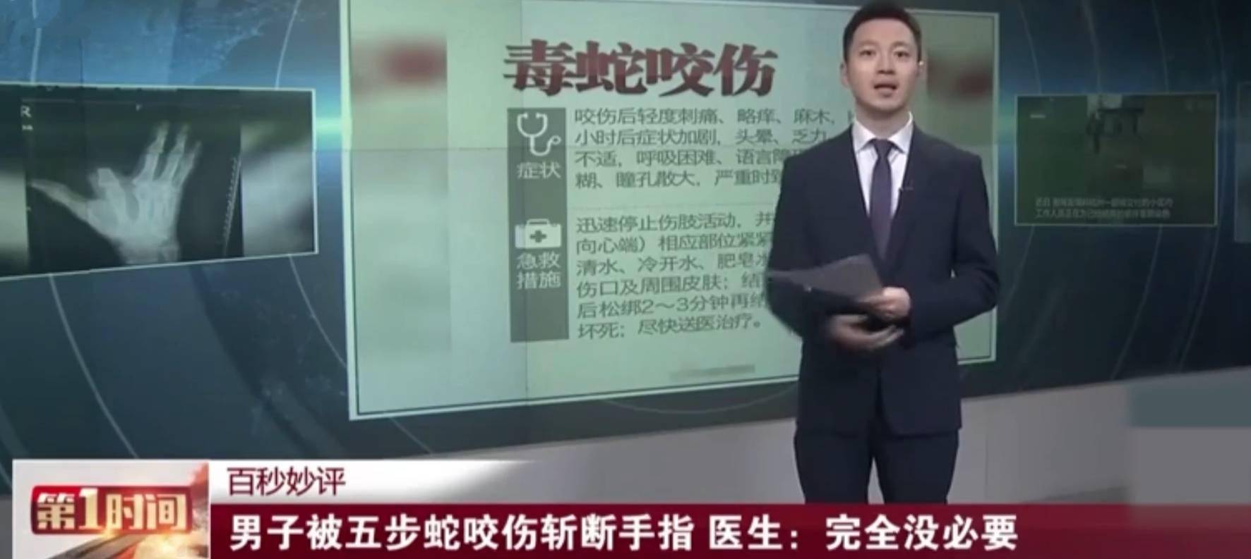 全国性气温偏高冬眠后毒蛇出没咬伤多地市民它们怕什么
