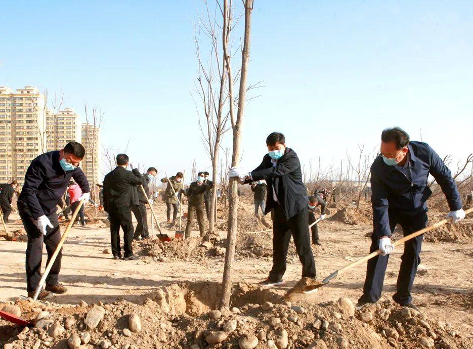 八师石河子市开展春季全民义务植树活动朱雪冰参加植树劳动