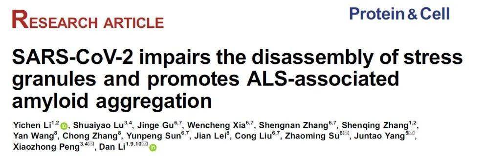 proteinampcell李丹彭小忠杨俊涛苏昭铭发现sarscov2干