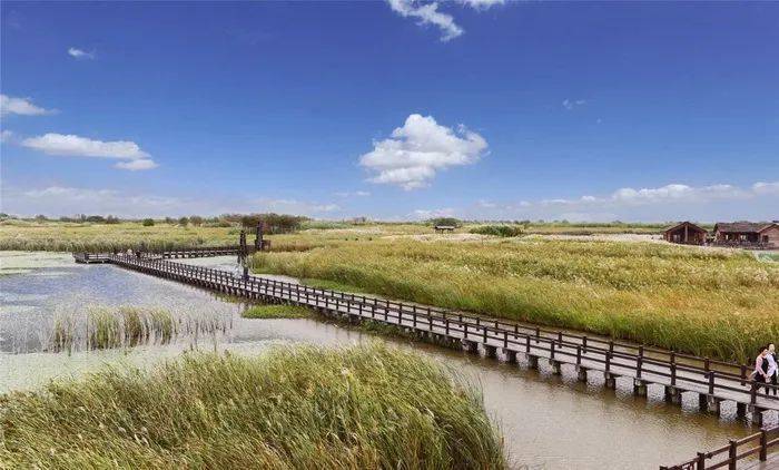 宁波杭州湾国家湿地公园位于杭州湾跨海大桥西侧,属于中国八大盐碱