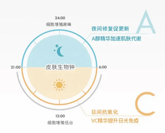 抗坏血酸)的产品;晚a,指的是在夜间使用含有维a醇(va/视黄醇)的产品