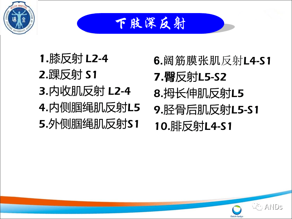 包括角膜反射,腹壁反射和提睾反射等.