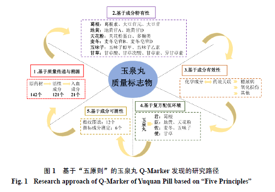 玉泉丸化学成分和药理作用的研究进展及质量标志物的预测分析