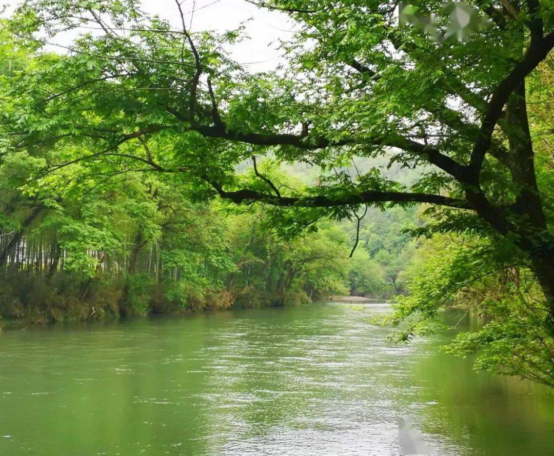 周太生散文秧溪流过汪王岭