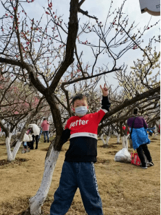 学生习作 番茄炒鸡蛋,我学会了_西红柿_吴子硕_爸爸