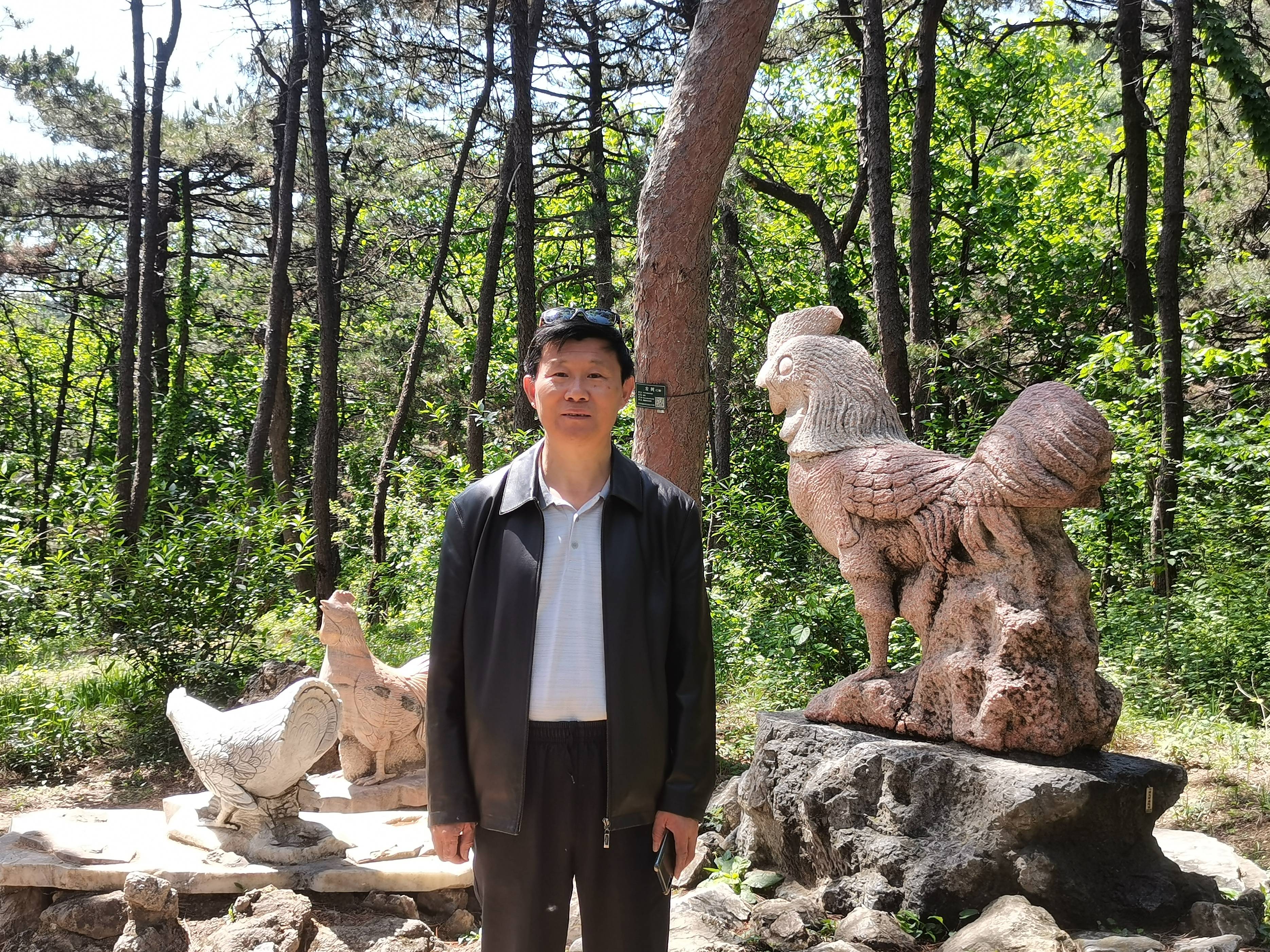 重上红螺寺，平静生长的森林最敬业