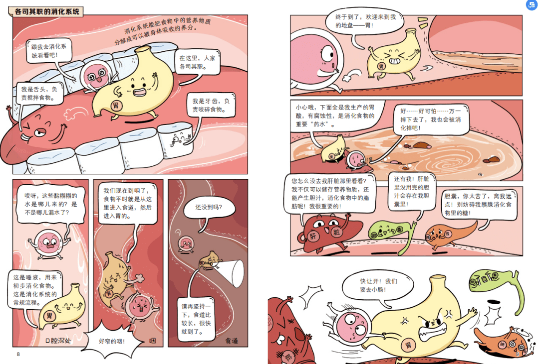 教科书般严谨全面的知识体系