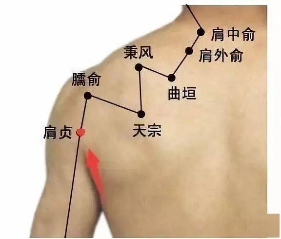 它若堵了,会让你天天不舒服,赶紧疏通~_后溪_问题_穴位