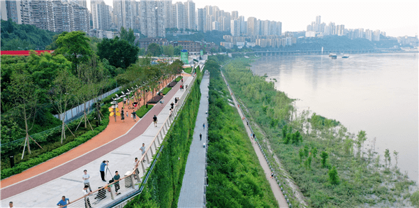 滨江公园"两江四岸"新风景_九龙坡区_长江_重庆