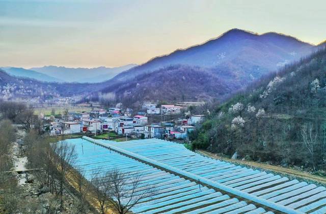 5月25日,在鲁山县团城乡寺沟村红鹰孵化基地耕作的种植户贾庆吾说道.