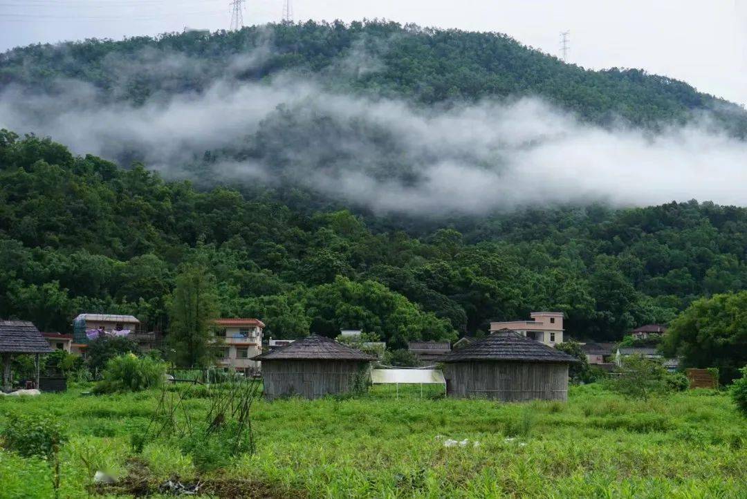 秀丽的旗溪风景旗溪村的客家老房子桂南学校在元旦市集做的艺术装置