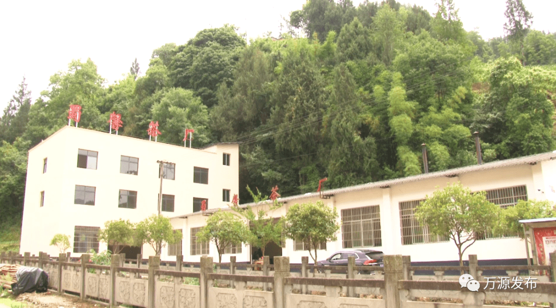 发展夏秋茶,让绿色产业释放长效"红利"_茶叶_万源市_生产