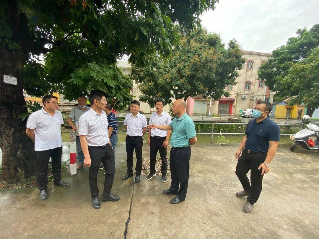 均安攻坚克难全力推进新均榄路二期项目建设