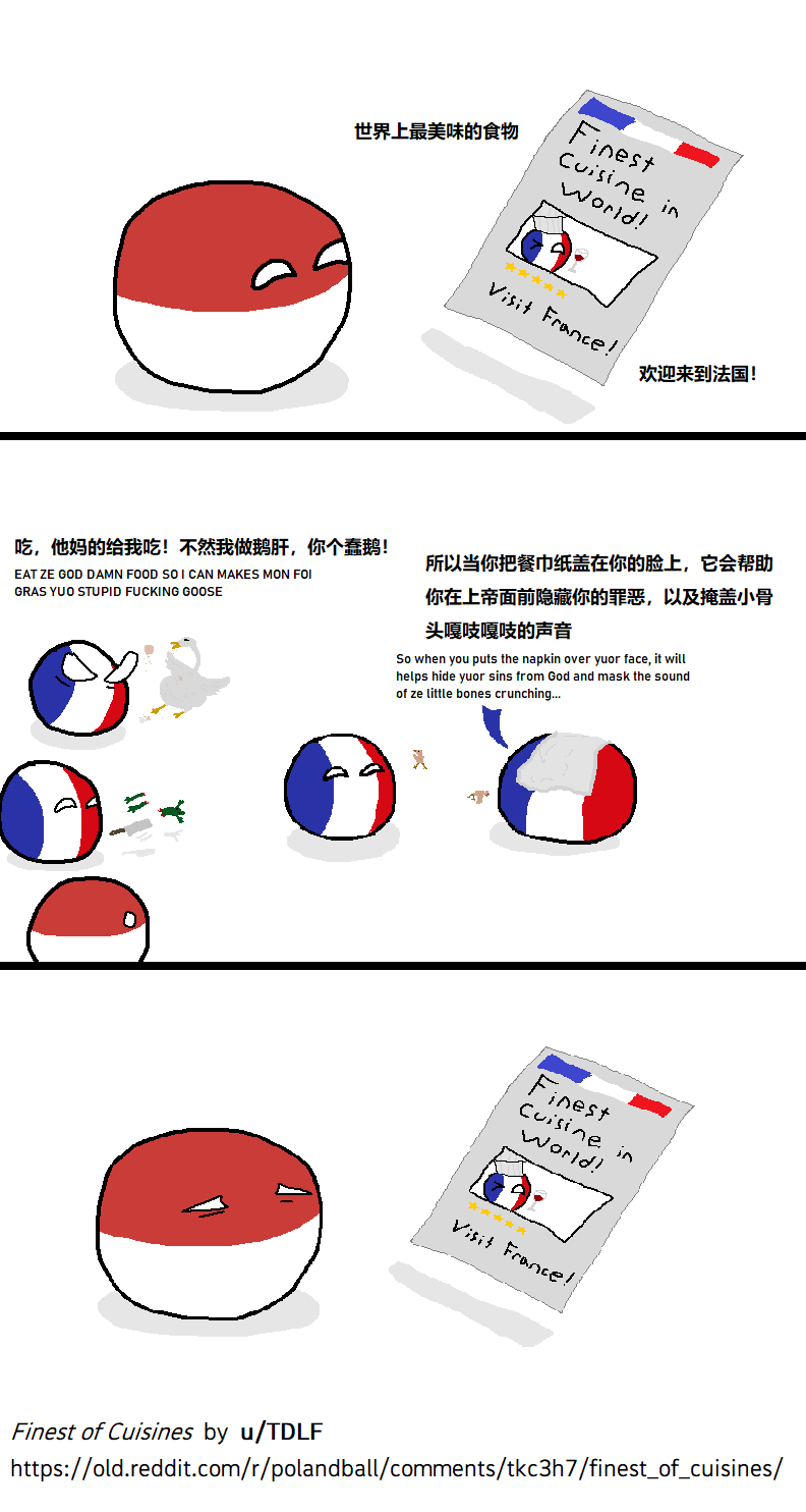 【波兰球里的它】高卢雄鸡(上)_法国_国旗_马赛