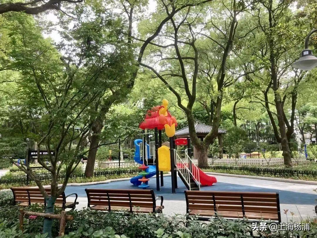 一起感受初夏的魅力!_公园_波阳_江浦