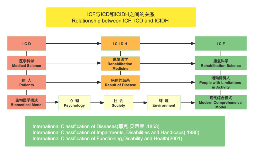 中英双语icf系统理论的中国实践广东省残疾人康复基地