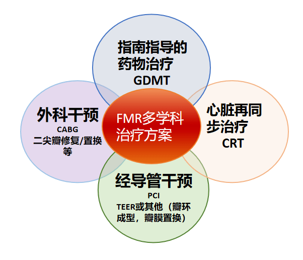 专家述评:功能性二尖瓣反流的治疗策略_患者_心脏_mitral