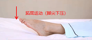 【医学科普】如何降低血栓发生风险?跟着视频一起学!_运动_下肢_动作