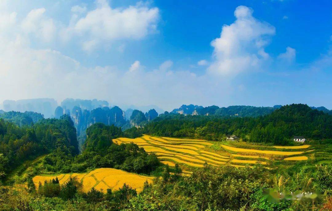 罗德林 来自搜狐网