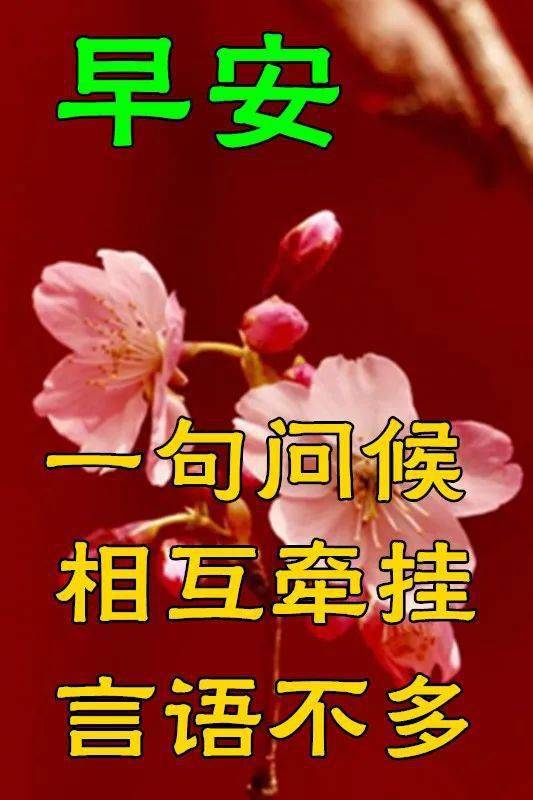 早上好动态表情图片及早晨好动图美图大全 太漂亮了,送给正在看微信的