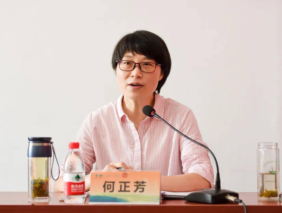 市政协副主席何正芳参加协商活动并提出协商意见会上,长台镇党委