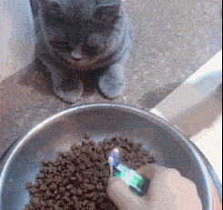 搞笑gif:没有订书机怎么办,缝纫机其实也是可以的